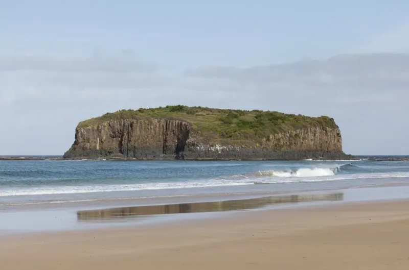 Shellharbour coastline with a small island offshore