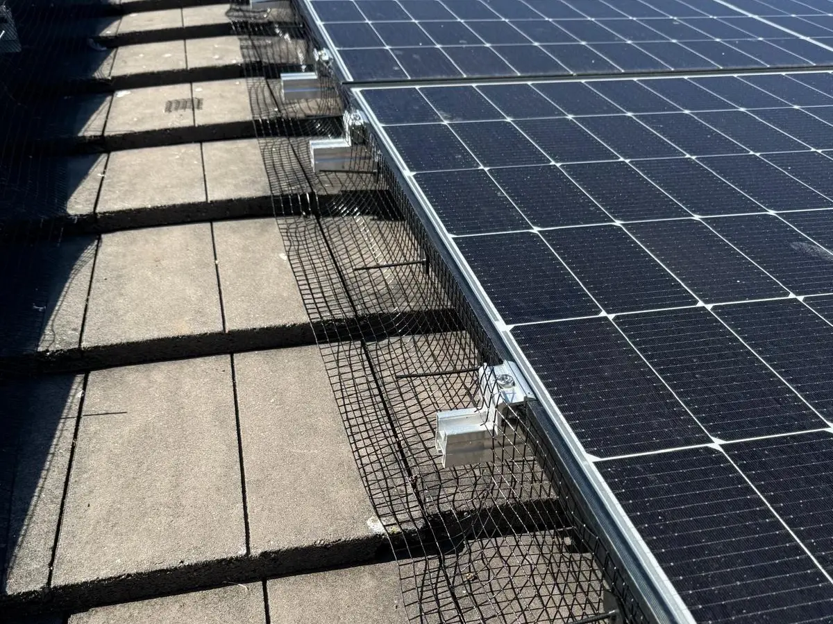 Black bird-proofing mesh fitted along the perimeter of a rooftop solar array on a flat roof, closing the gap between the panels and the roof below.