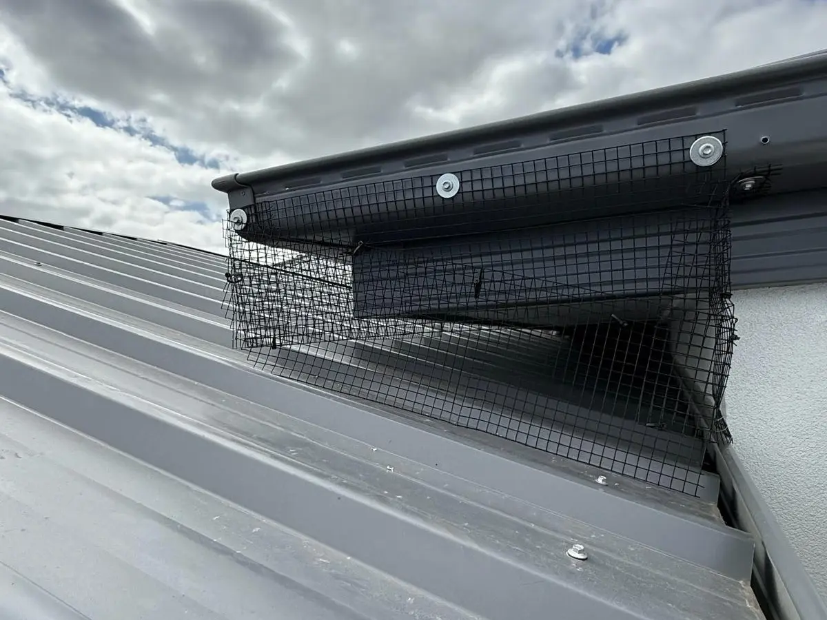 Black mesh fixed under the barge capping where a metal roof meets a rendered wall, closing the gap along the join.