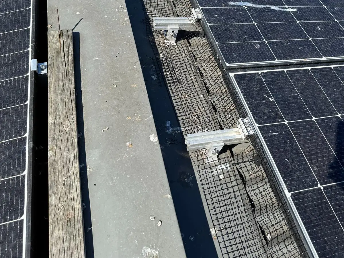 Mesh clipped along the gap between two rows of solar panels on a flat roof, with bird droppings across the panels and the walkway between them.