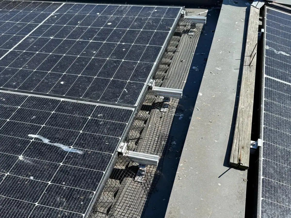 A rooftop solar array heavily stained with bird droppings, with black mesh fitted along the open edge between the panels and the roof below.