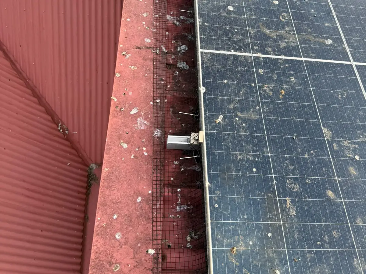 Black mesh fitted along the edge of a solar array where it meets a raised section of metal roof, with bird droppings across the panels.