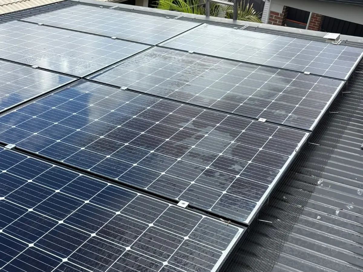 Rows of wet solar panels part-way through cleaning, with beads of water on the glass and black mesh fitted along the edge of the array.