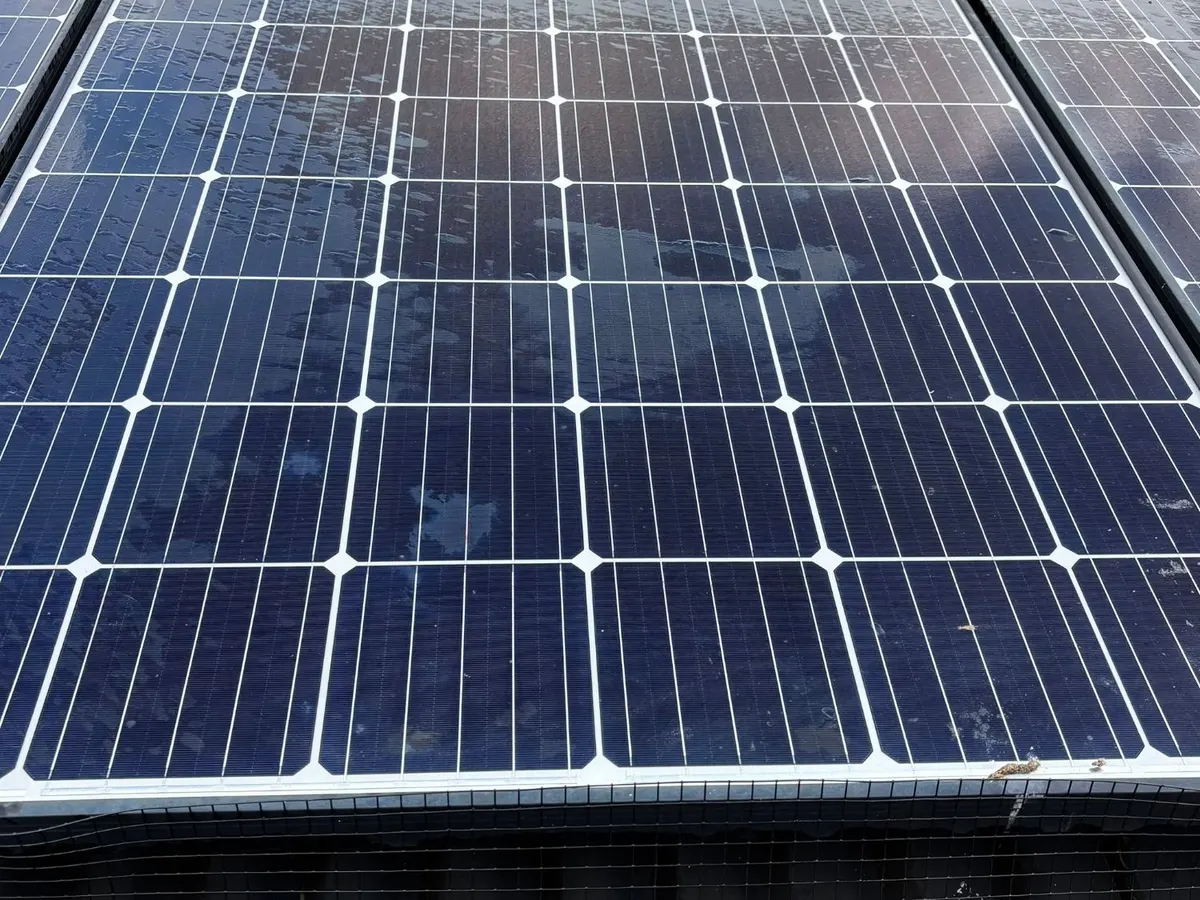 Close-up of a wet solar panel mid-wash, with beads of water and specks of debris on the glass, and wire mesh fitted below the panel edge.